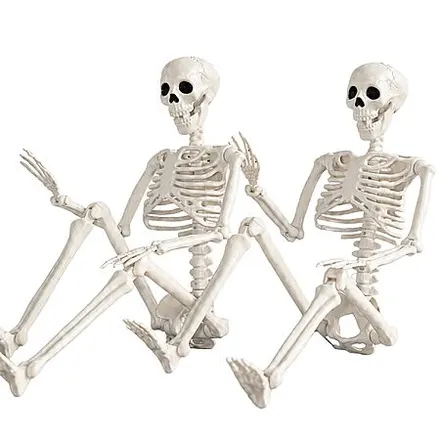 2-Pack 36" Abakuku Halloween Skeleton Decorations w/ Movable Joints