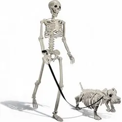3-Foot Human & Dog Skeleton Halloween Set