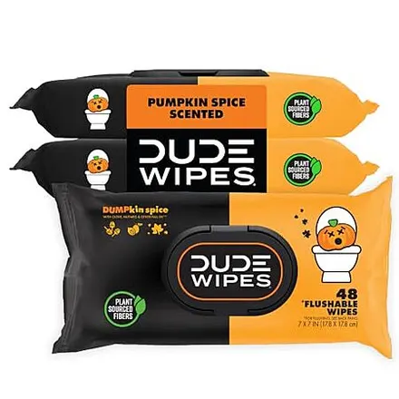 3-Pk 48-Ct DUDE Wipes Dumpkin Spice Adult Flushable Wipes (Pumpkin Scented)