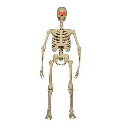 5' Haunted Living Ultra Posable Skeleton Halloween Decoration