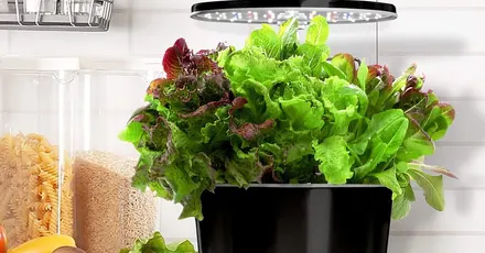 AeroGarden Harvest Elite 360 Hydroponic Indoor Garden