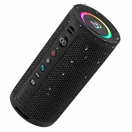 BassBloom Roar 3 20W IPX6 Waterproof Portable Bluetooth 5.4 Speaker (Glossy Black)