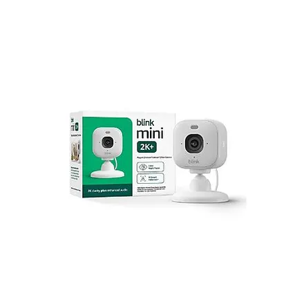 Blink Mini 2K+ (newest model)