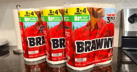 Brawny Paper Towels 6-Count Double Rolls