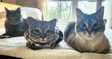 Cat-Shaped Makeup Bags