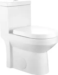 DeerValley Dual-Flush Elongated One-Piece Toilet