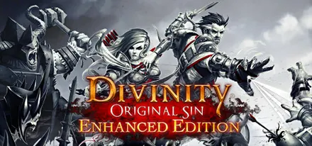 Divinity: Original Sin - Enhanced Edition (PC)