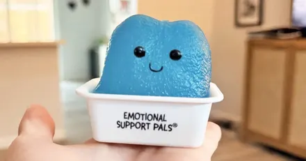 Emotional Support Nuggets