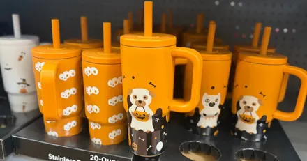 Halloween 20oz Stainless Steel Tumblers