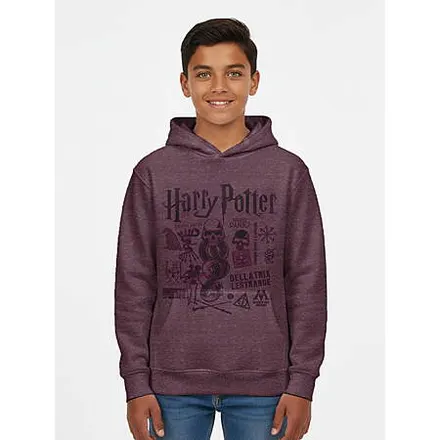 Harry Potter and Stranger Things Boy's Graphic Hoodies (Select Sizes)