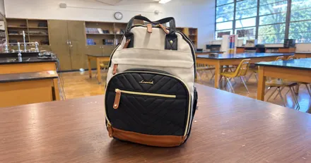 Highly-Rated LOVEVOOK Laptop Backpacks