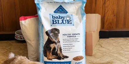 *HOT* Blue Buffalo Dog Food Bags