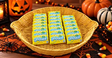 Lemonhead Candy 24-Pack