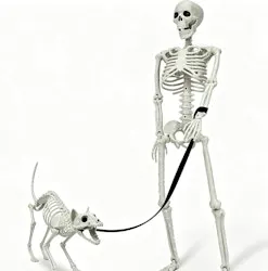 Lighted Human & Cat Skeleton
