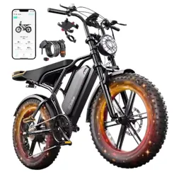 Limite 48V Electric Bicycle