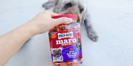 Milk-Bone Halloween Dog Treats 25oz