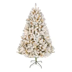 National Tree Company Acacia 6-Foot Pre-Lit Flocked Artificial Christmas Tree