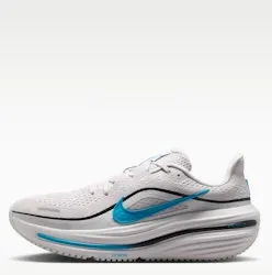 Nike Men's Winflo 12 Shoes