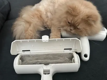 Pet Hair Remover Roller