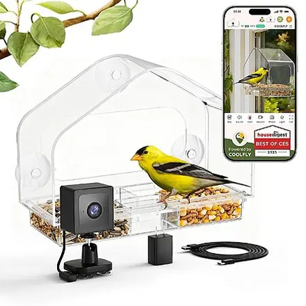 RichBird Smart 2K Camera Window Bird Feeder