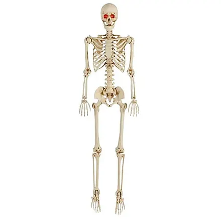 Select Stores: 5' LED Pose-N-Stay Skeleton