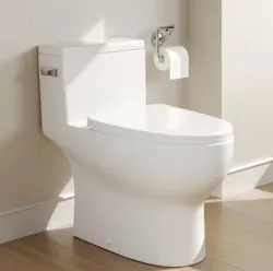 Toilets & Bidets Daily Deals at Home Depot: Up to 50% off + free shipping