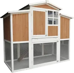 Tucker Murphy Pet Analisse Chicken Coop w/ Chicken Run & Roosting Bar