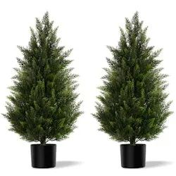 Vitalismo 3-Foot Artificial Cedar Topiary Trees 2-Pack